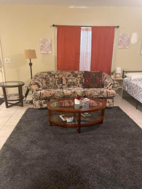 Delightful Atlanta apt sleeps 6